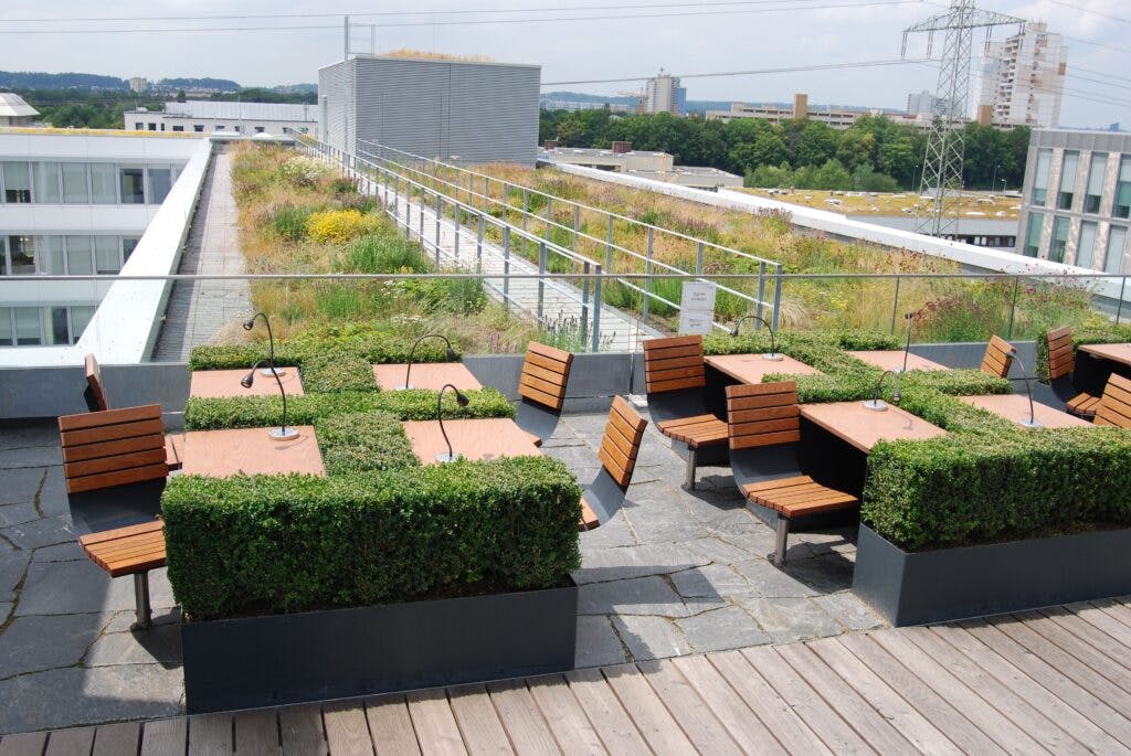 Daktuin tuinaanleg-concurrent