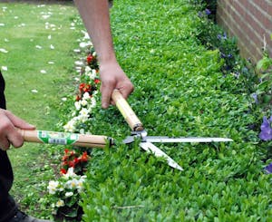 Tuinonderhoud prijzen